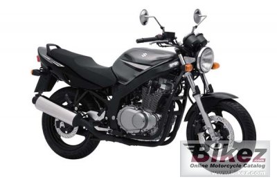 2006 Suzuki GS 500 photo